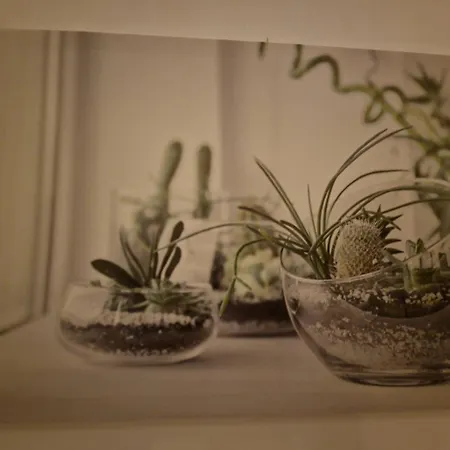 Appartement Butterfly *