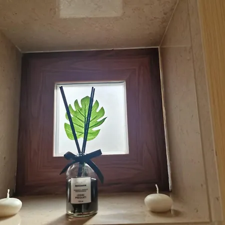 Butterfly Apartment